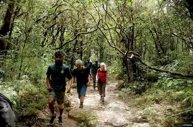 Knuckles Mountain Range